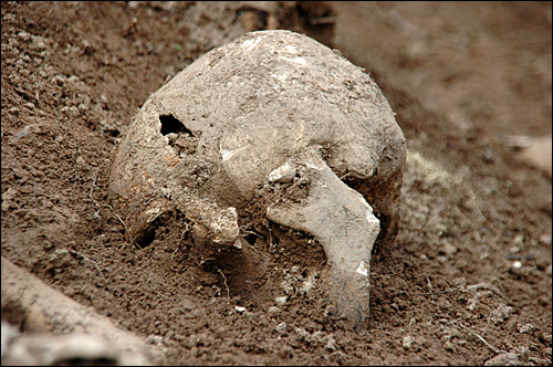 진주시 문산읍 상문리 과수원 안에 있는 매장지에서 발굴된 두개골 모양의 유골.