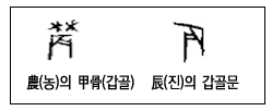  農(농) 辰(진)