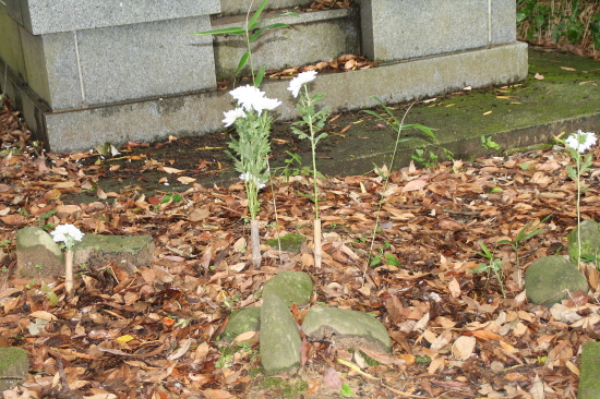 일본 묘지 아래의 조선인 묘지