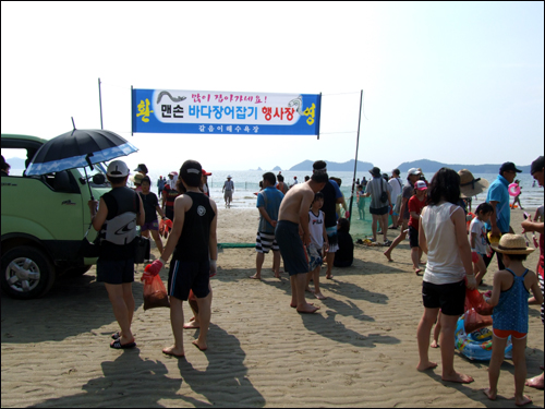 26일 태안의 갈음이 해수욕장에서는 올해로는 처음으로 '맨손 바다장어잡기 행사'가 열렸다.