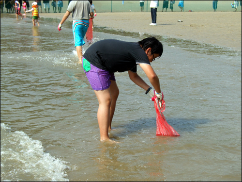 한 참석자가 물이 얕은 곳에서 바다장어를 그물망에 넣고 있다.