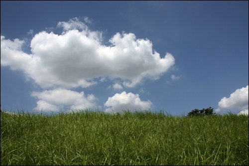 푸른 풀밭 위로 구름은 피어오르고