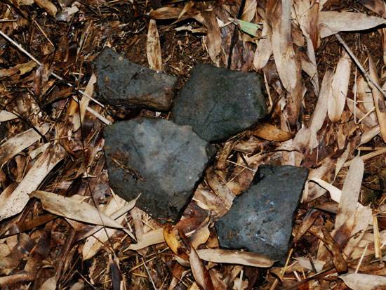 산성터에서 발견된 기와 조각들. 