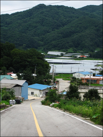 팔음산 아래 첫 마을 평산리 벌써 산을 몇 개를 넘어왔는데, 또 다시 용바우 고개 가파른 오르막을 올라갑니다. 날씨도 덥고 힘들지만, 이렇게 꼭대기에 올라와서 내려다보는 풍경 때문에 모든 어려움을 잊는답니다.