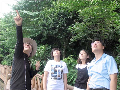 숲해설가 윤주 씨가 수목원 내 수변데크에서 떼죽나무를 가리키며 나무의 생태와 특성에 대해 설명하고 있다.