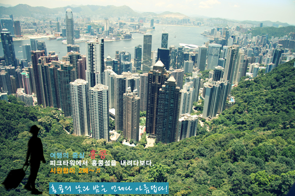 피크타워에서 바라본 홍콩섬의 전경