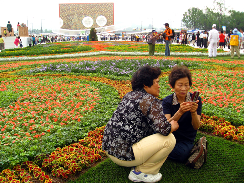 1일 시민들에게 개방된 광화문광장 '플라워 카펫'에서 시민들이 휴대전화 사진기를 통해 기념촬영을 하고 있다.