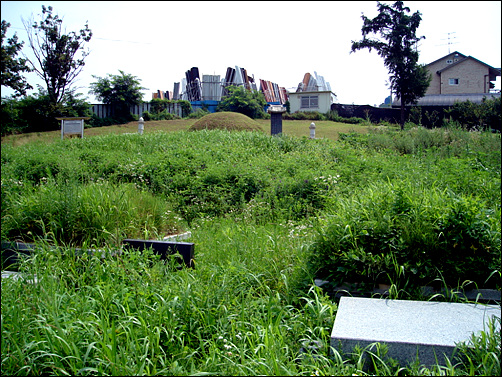 김치인 선생 묘역, 수풀이 우거져 있다.