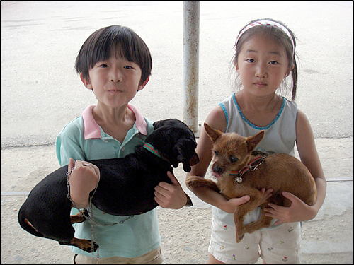 시골 마을에서 만난 아이들이 사랑이와 다롱이를 안고 있다. 아이들에게 개는 친구이자 한식구였다.