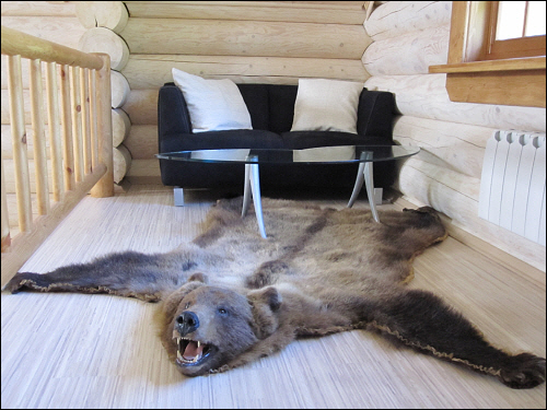  효도르가 바딤 회장에게 선물한 곰가죽 깔개