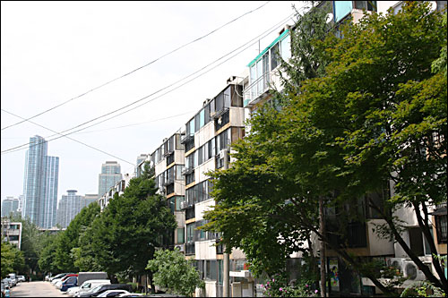 서울 강남구 개포동 주공1단지 아파트 전경. 서울 강남 지역에서 재건축이 이뤄질 가능성이 가장 높은 이 아파트에 돈이 몰리고 있다.