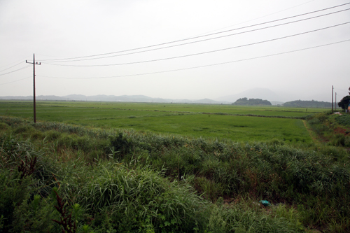 아스라히 보이는 지평선 끝자락 산까지가 110만평의 (서울)영동농장이다. 땅을 사 큰 부자가 되겠다는 김씨가 꿈을 이룬 곳이다. 1982년 뻘밭이었던 곳을 개척해 옥토로 바꿨다. 