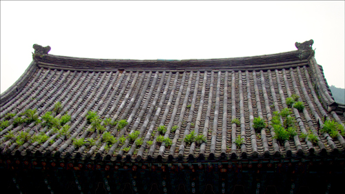 봉선사 대웅전 '큰법당' 지붕(2009.7.15)