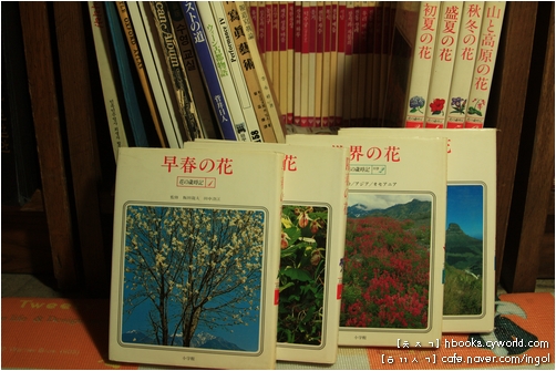 꽃을 담은 어여쁜 일본 사진책 꾸러미.