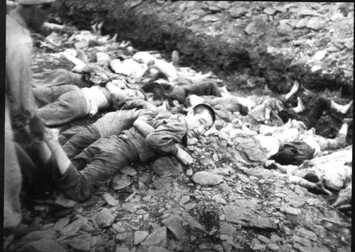 1950년 대전 근교에서 처형 당하는 보도연맹원들의 모습.