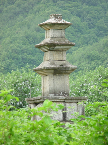 사과밭 가운데 삼층석탑