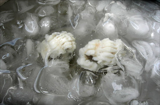 끓는 물에 데친 갯장어를 재빨리 얼음물에 넣었다. 다시 물기를 뺀 후 매실육이나 초된장을 곁들여 먹는다. 이것을 일본명으로 유비끼(湯引き)라고 한다