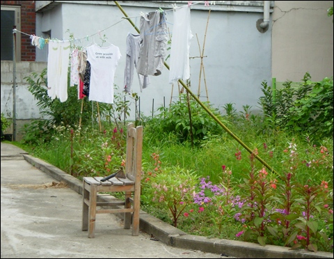  고향집을 떠올리게 하는 앞마당 풍경. 걸상 위의 호미가 눈길을 끌고, 빨랫줄의 빨래와 봉숭아가 활짝 핀 화단은 볼수록 마음이 넉넉해진다. 
