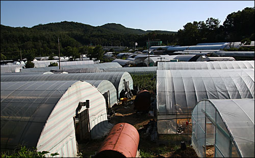  보금자리주택 시범지구로 지정된 서울 강남구 세곡지구 전경.