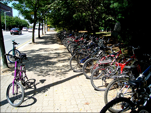 자전거로 통학하는 학생들을 위한 자전거주차대