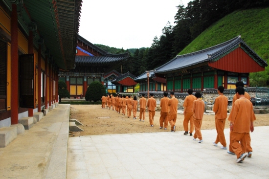 차수하고 걷기 하지만 곧은 생각에 몰두하기가 쉽지 않은듯 흐느적거리기도.