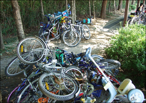 이런식으로 방치되는 자전거는 절도범의 표적이 된다. 고물상에 가보면 적당한 중고자전거를 꽤 볼 수 있다. 한대에 3만원 정도에 판매하는데 이 자전거들은 어디서 온걸까? 