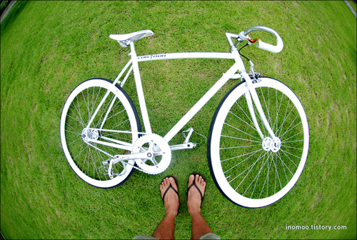 소요님의 '자전거로 지키는 초록별 지구' 