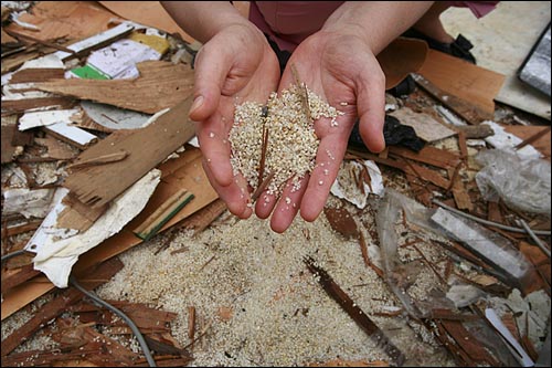 부서진 판자 더미에서 발견한 쌀. 주민들은 먹을 수 있는 깨끗한 쌀을 골라 밥을 지어먹고 있다.