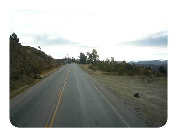 볼리비아 도로