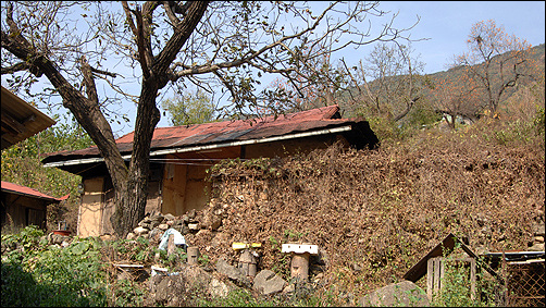 키우친씨가 살고 있는 산골 동네의 어떤 집