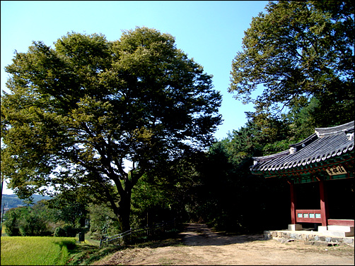  안산 화정동 산골에서 찾은 정자