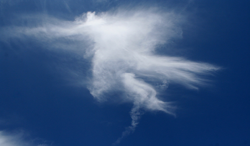 파란하늘과 대조적인 하얀구름 무엇으로 보이십니까?