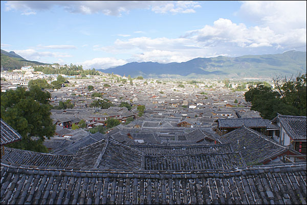다옌전을 뒤덮은 층층이 겹쳐진 나시족의 전통 기와집들.