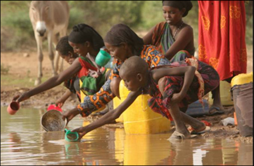 웅덩이에서 여성과 소녀들이 집으로 가져갈 물을 앞다투어 퍼담고 있다. 가뭄으로 식수원이 말라버린 이 곳에서 이 더러운 웅덩이물이 식수로 쓰인다. 