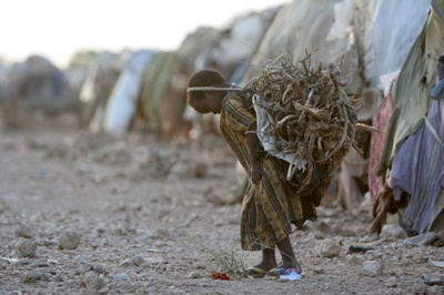 소말리아 남부 바쿨지역의 난민촌에서 어린 소녀가 땔감용 나무를 나르고 있다. 가뭄이 계속되는 이 곳에서 난민들은 구호식량에 의지해 하루 하루를 연명한다. 