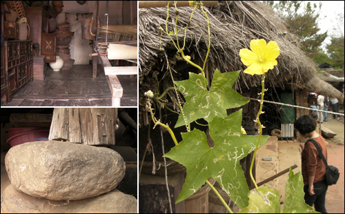 보존가옥으로 돼 있는 김대자 가옥은 옛 것을 간직하고 있고 다양한 생활용품을 보관해 놓고 있다