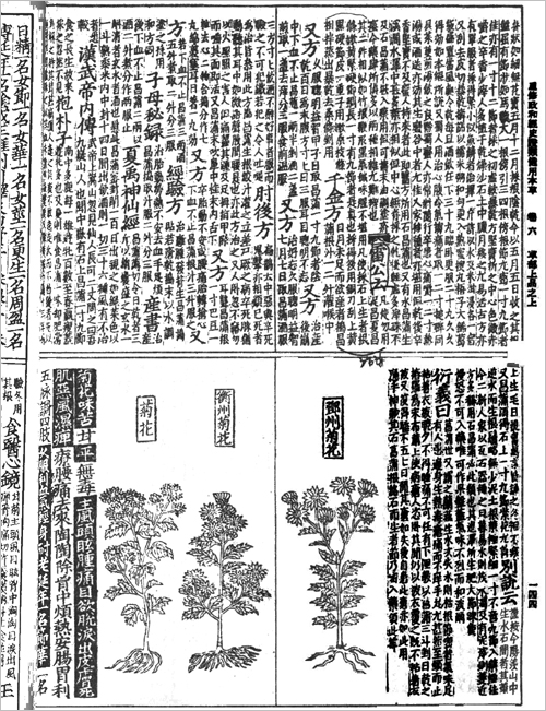 <중수정화경사증류비용본초>의 국화 조문이 하단에 시작하고 있다. 역대 중국과 주변 국가들의 의학지식을 수집하여 1189년에 출판되었다.
