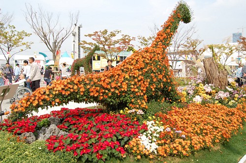 억만송이국화꽃축제 국화꽃으로 만든 공룡