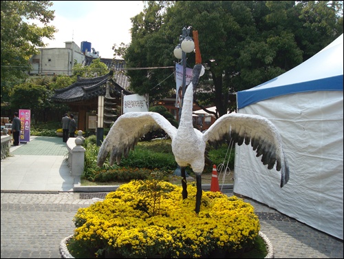 동래 학춤 축재