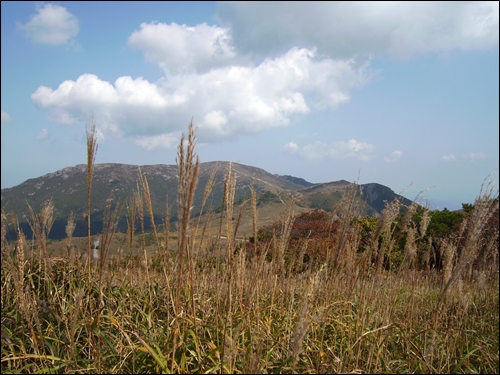  영축산에서 바라본 신불산