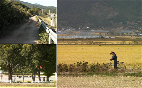낙성초등학교에 다다르는 길은 전형적인 시골길이며 들판이다