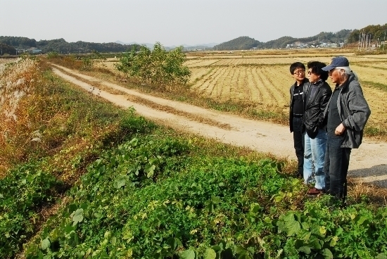  가을 억새를 바라보는 것은 가을에 누리는 호사입니다. 

