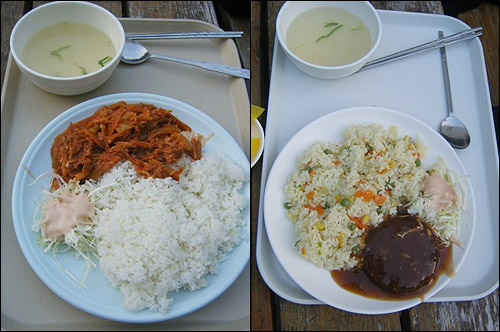함박스테이크+볶음밥(우), 참치김치덮밥(좌)