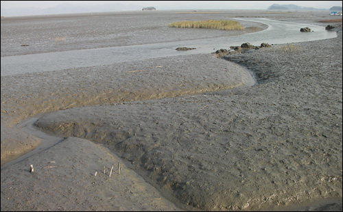 옛 낙안군의 물줄기는 낙안면 상송에서 시작해서 들판을 지나 바닷가로 흘러나가면서 수만년의 역사를 가진 갯벌에서 머문다
