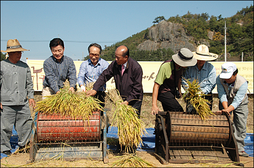 참여정부 인사들이 25일 오전 봉하마을에서 친환경농법으로 지은 벼를 수확한 뒤 전통방식으로 탈곡하는 작업을 벌였다.