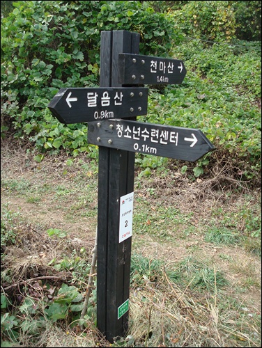 아홉산 가는 길