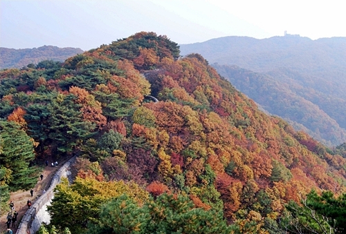 남한산성이 품은 슬픈사연을 위로하는듯 성곽과 성벽을 둘러싼 남한산의 가을 풍경이 참 아름답습니다.