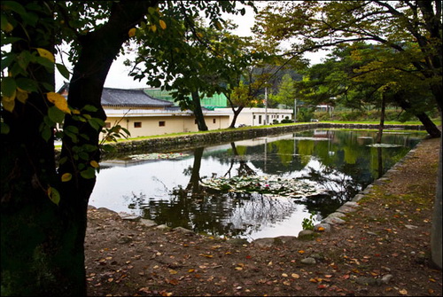순흥면사무소 뒤편에 있는 봉도각(蓬島閣) 공원에도 가을이 깊었다.