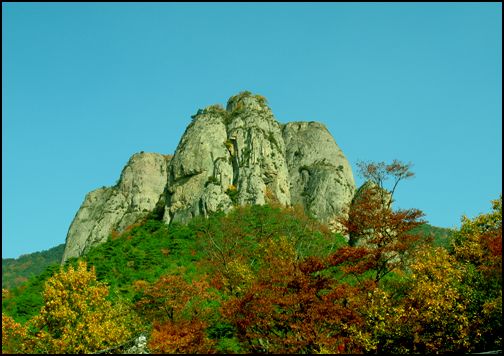  주왕산국립공원 관리소를 지나 대전사 경내에서 멀리 바라본 주왕산 장군봉