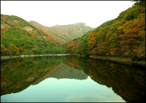 주산지 그런데 주산지는 올해도 가을 가믐으로 물이 말라 그 아름다운 주산지 절경을 볼 수 없었다. 